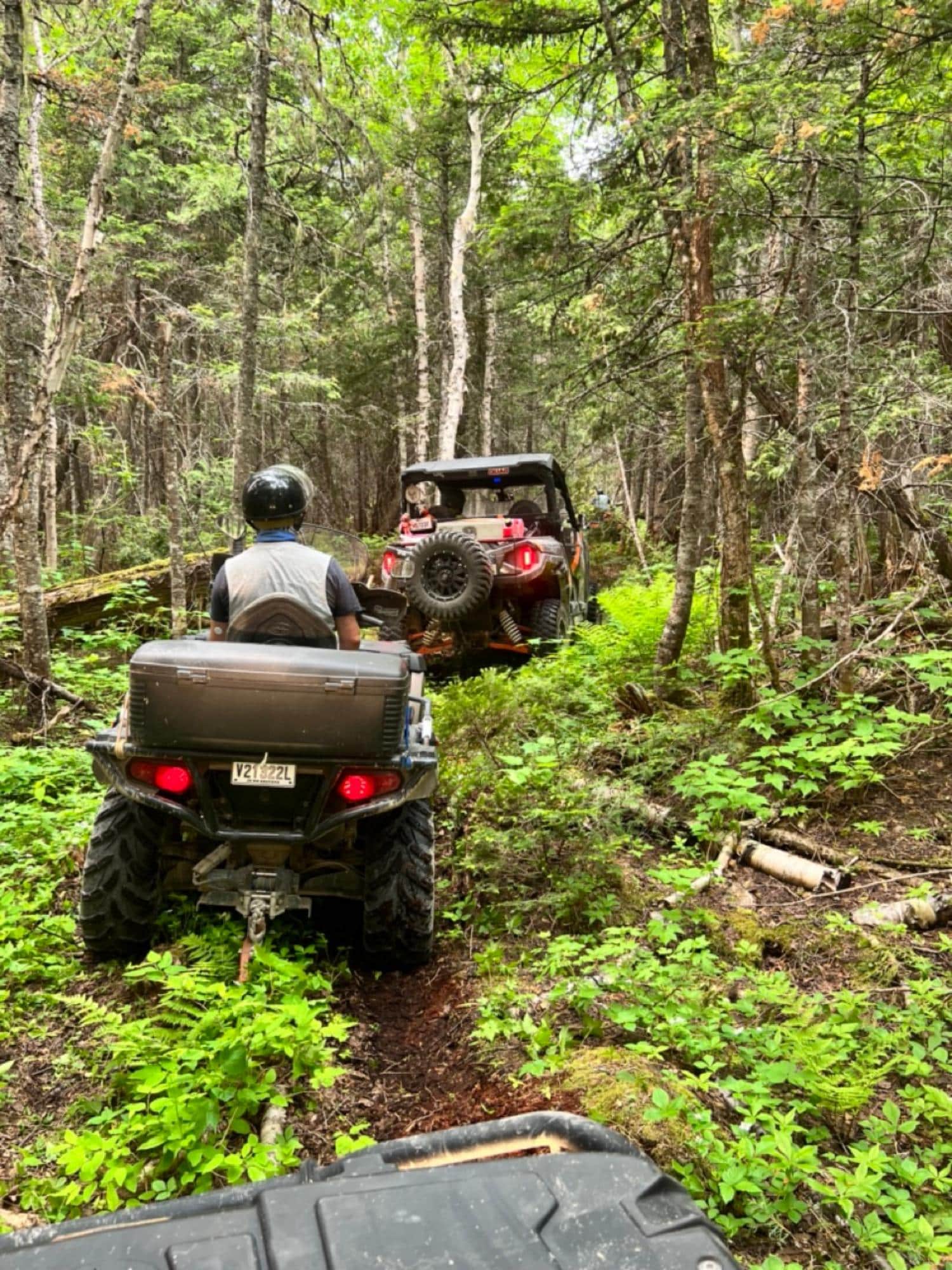 Conducteurs de VTT et véhicule côte à côte circulant sur un sentier étroit au cœur d’une forêt dense avec végétation verdoyante.